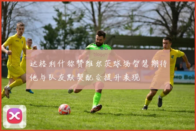 达格利什称赞维尔茨球场智慧期待他与队友默契配合提升表现