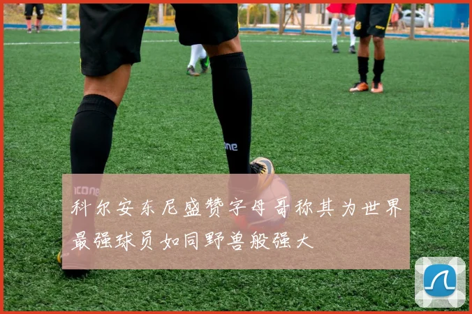 科尔安东尼盛赞字母哥称其为世界最强球员如同野兽般强大
