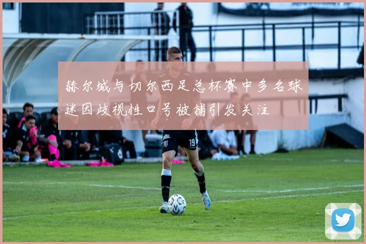赫尔城与切尔西足总杯赛中多名球迷因歧视性口号被捕引发关注