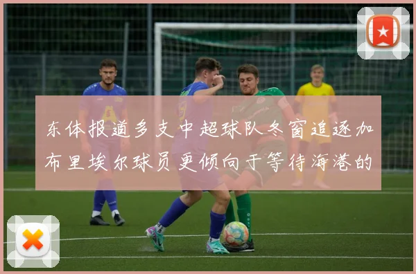 东体报道多支中超球队冬窗追逐加布里埃尔球员更倾向于等待海港的机会