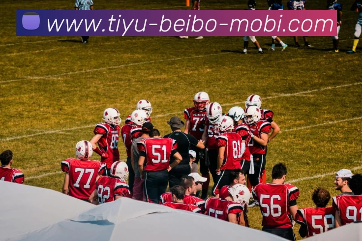 贝博体育服务体系