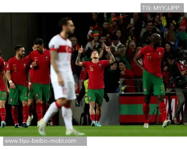 居莱尔展望未来努力助力土耳其重返世界杯舞台 居莱尔展望未来努力助力土耳其重返世界杯舞台